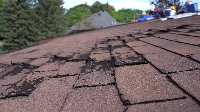 Best Asphalt Shingles Roofing  in Reading, PA