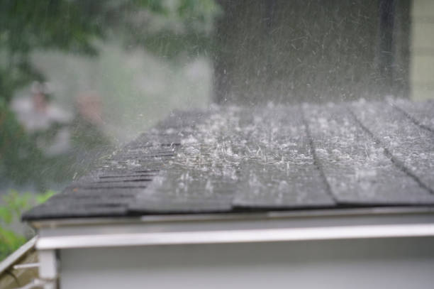 Best Gutter Installation and Repair  in Reading, PA